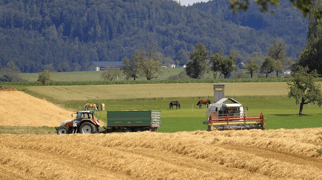 5 Basic functions and usage of handheld land meters you should know
